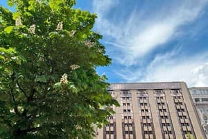 MAIDAN PALACE HOTEL 22